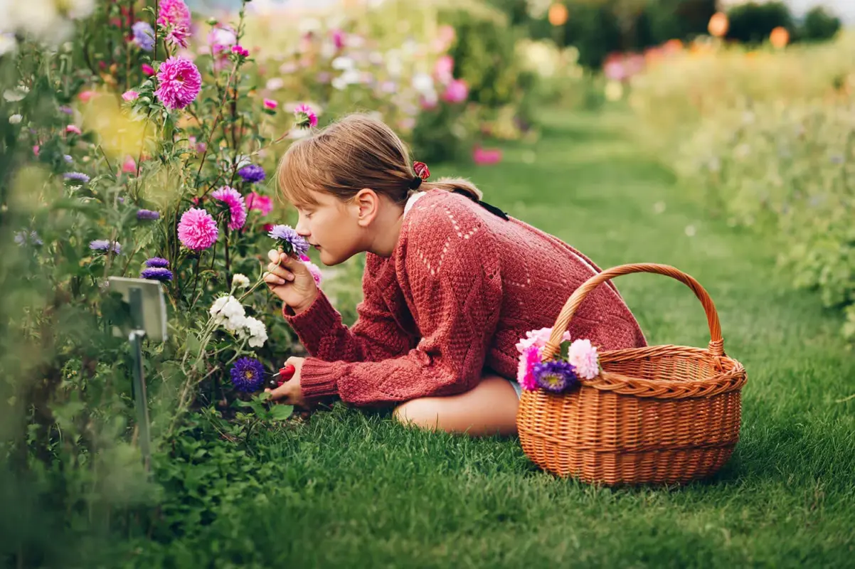 Geurende bloemen Voordelen van geurende, lekker ruikende bloemen in je eigen tuin