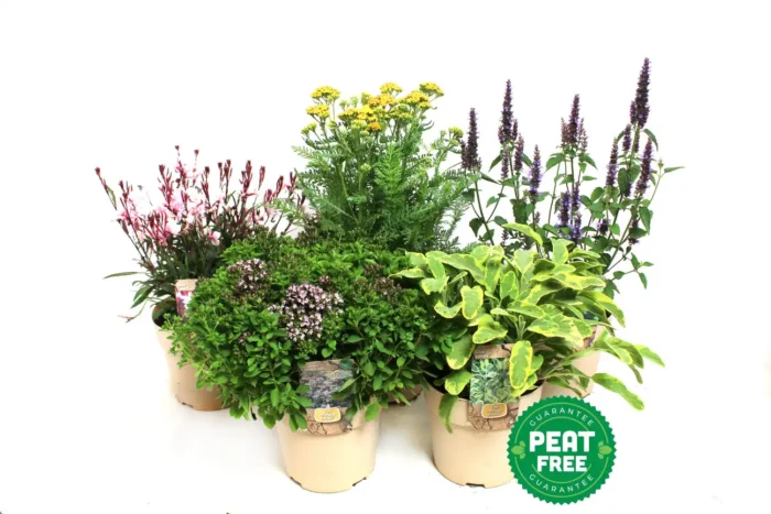 Veenvrij, Peatfree, bloomboost, climate proof, droogte resistent