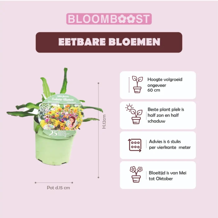 Product sheet Eetbare Bloemen Bloomboost Pot D15 cm 2