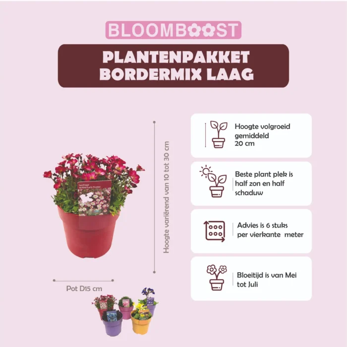 Product sheet Plantenpakket BORDERMIX LAAG pot 15 cm
